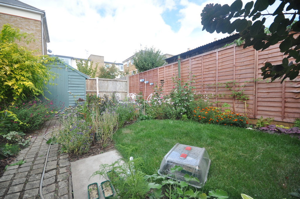Seymour Street, Chelmsford, photo 8