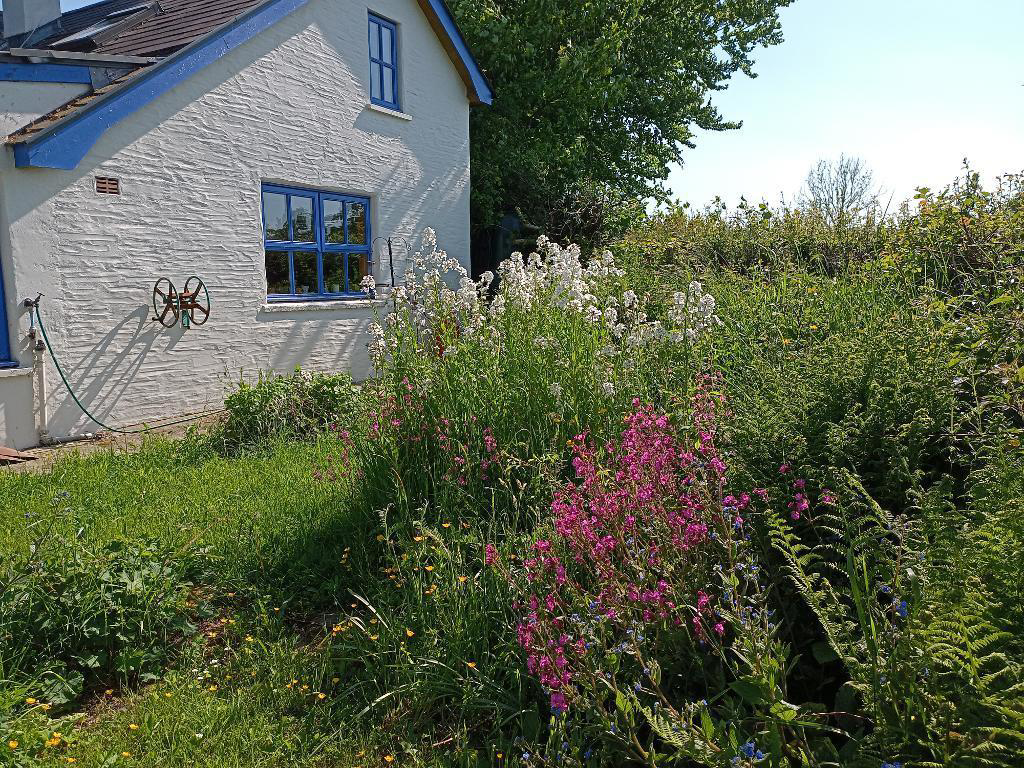 Rhos, Llandysul, photo 31
