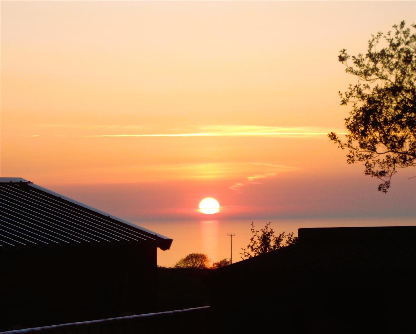 Maenygroes, New Quay, photo 26
