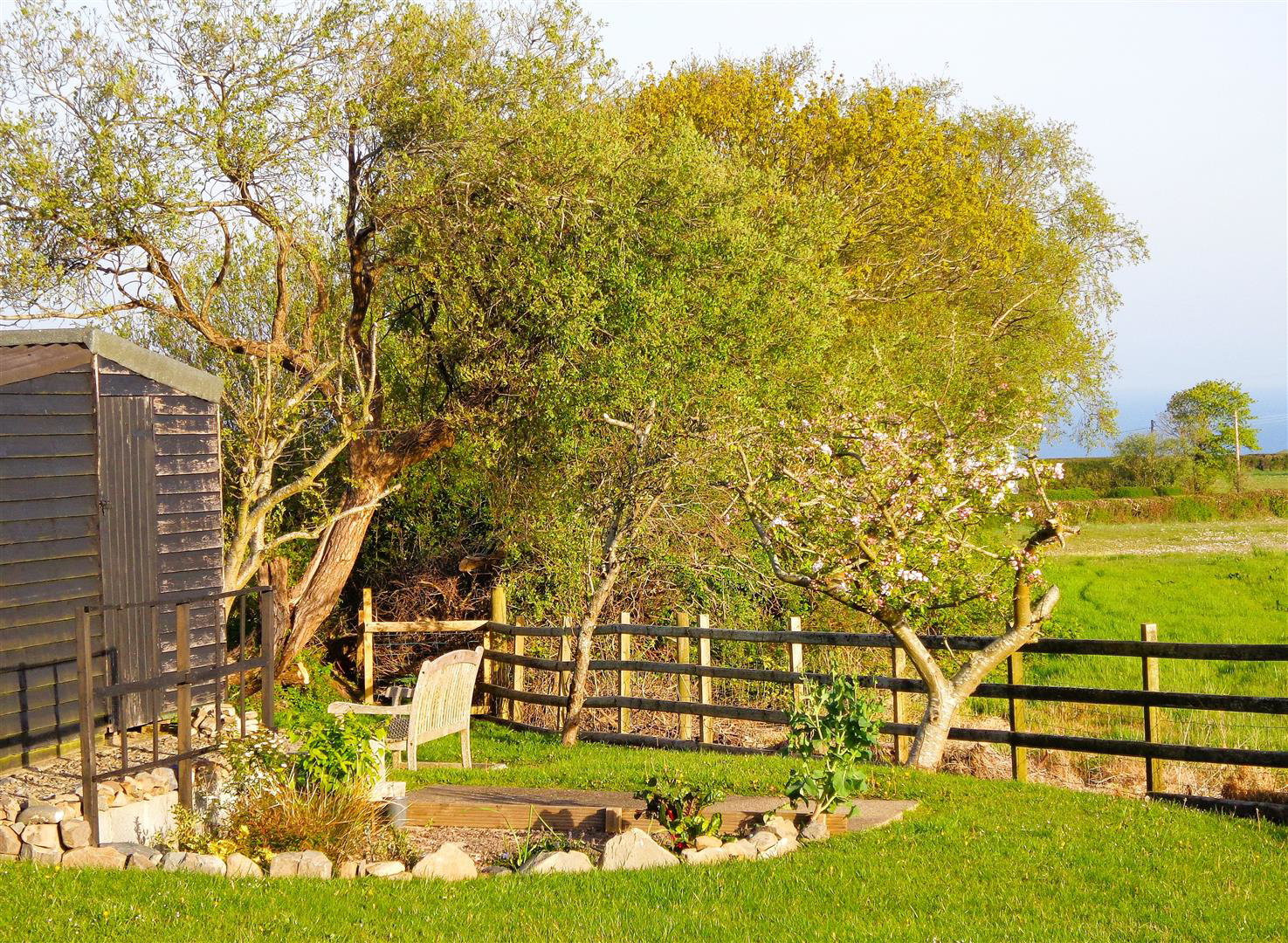 Maenygroes, New Quay, photo 24