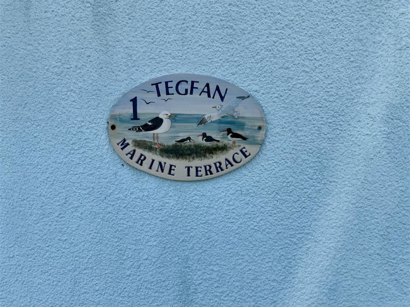 Marine Terrace, New Quay, photo 36