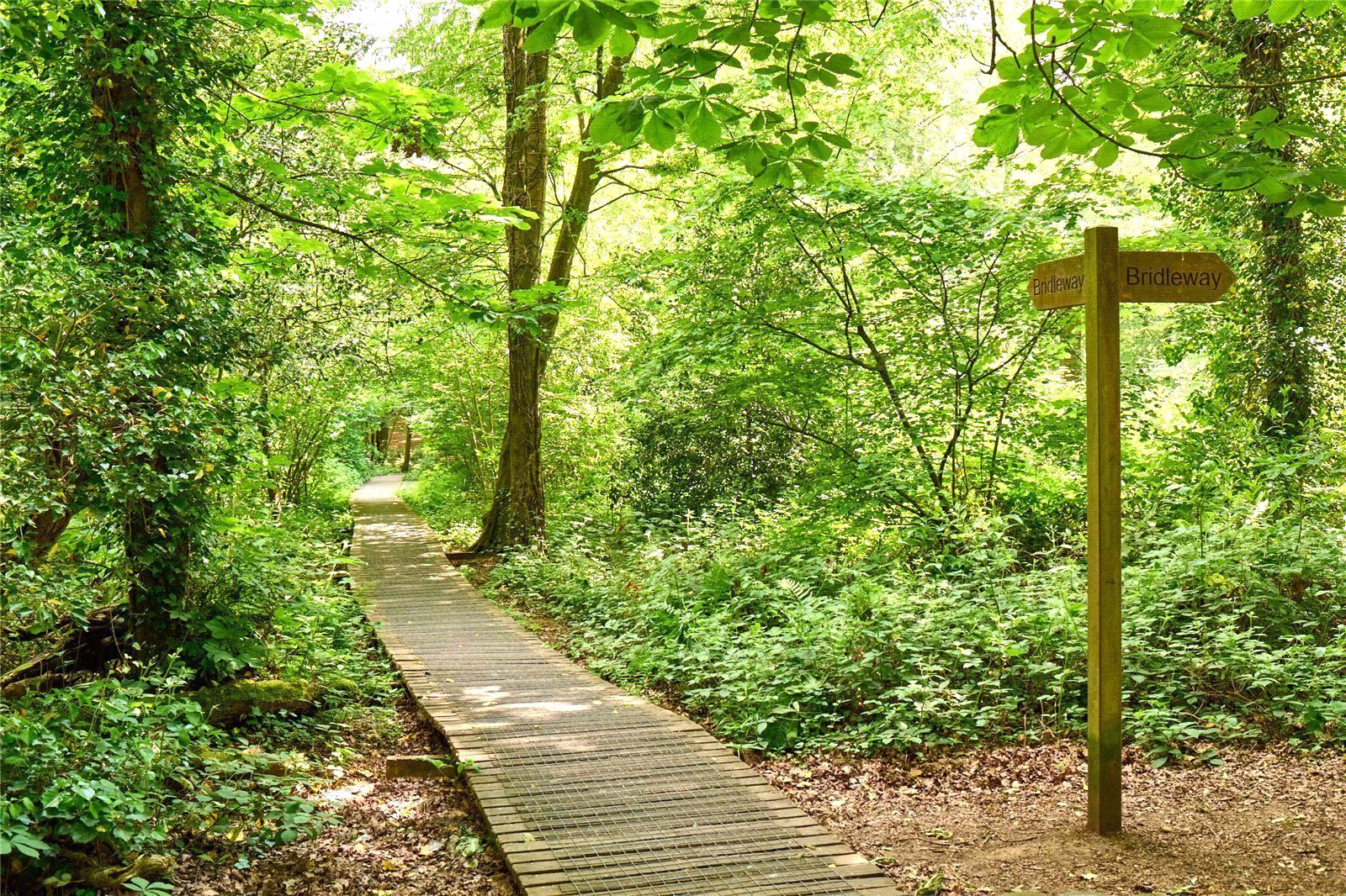 The Green, Bolley Avenue, Bordon, GU35, photo 18