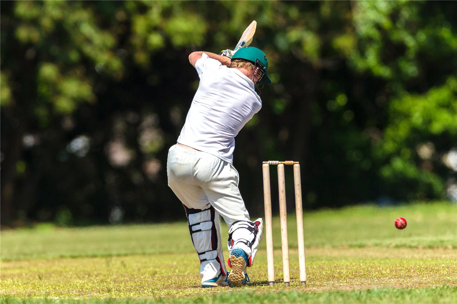Cricket