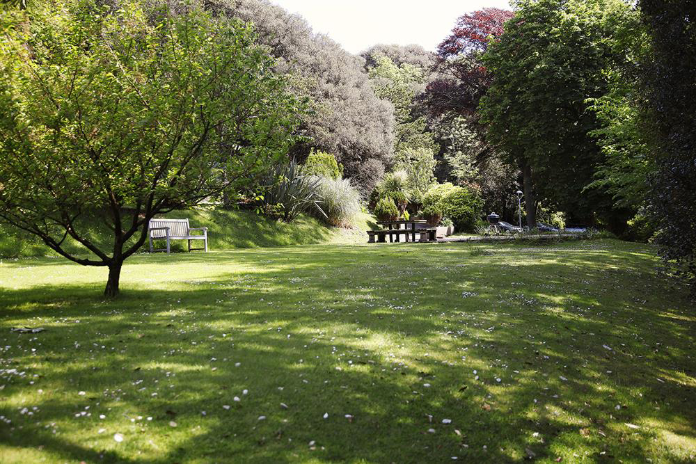 Photo 45