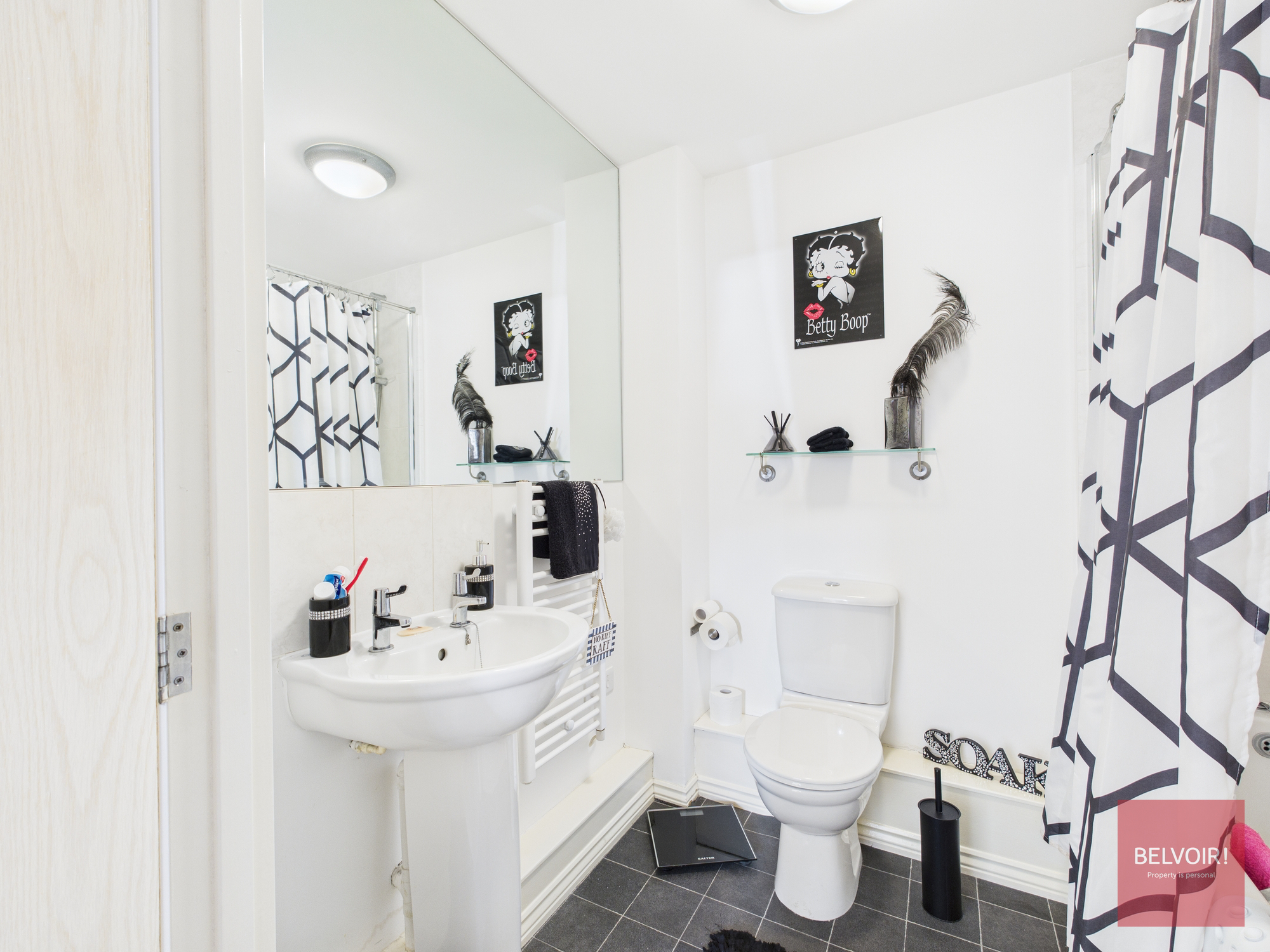 Belleisle Apartments, Pentrechwyth, Swansea, SA1 7FW, photo 7