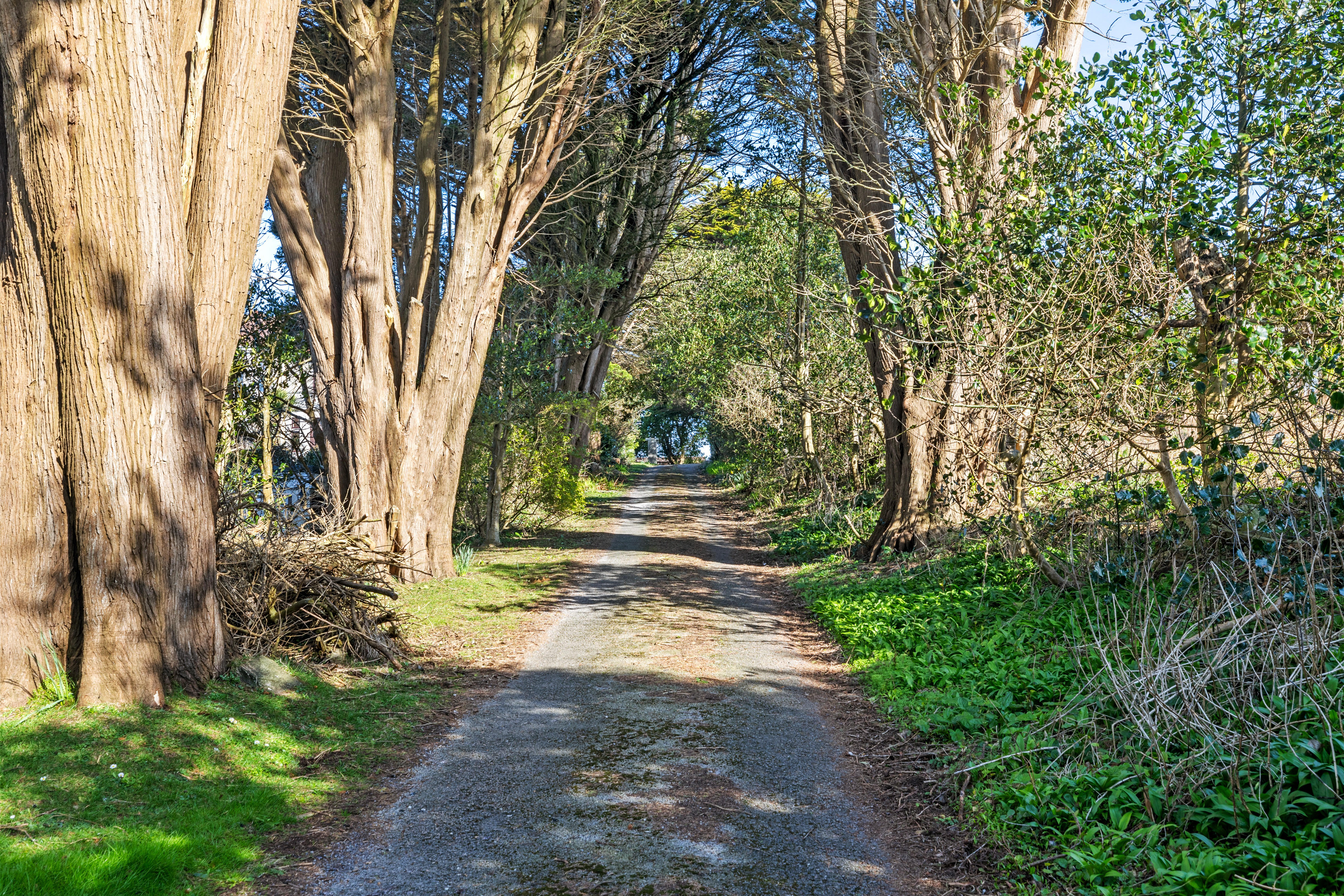 Higher Lane, Langland, Swansea, SA3 4NS, photo 3