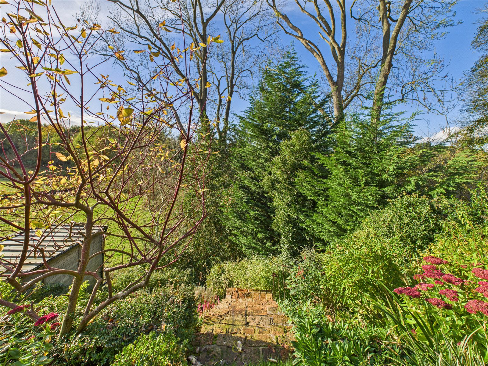 Delamere Road, Kingsley, Frodsham, Cheshire, WA6, photo 10