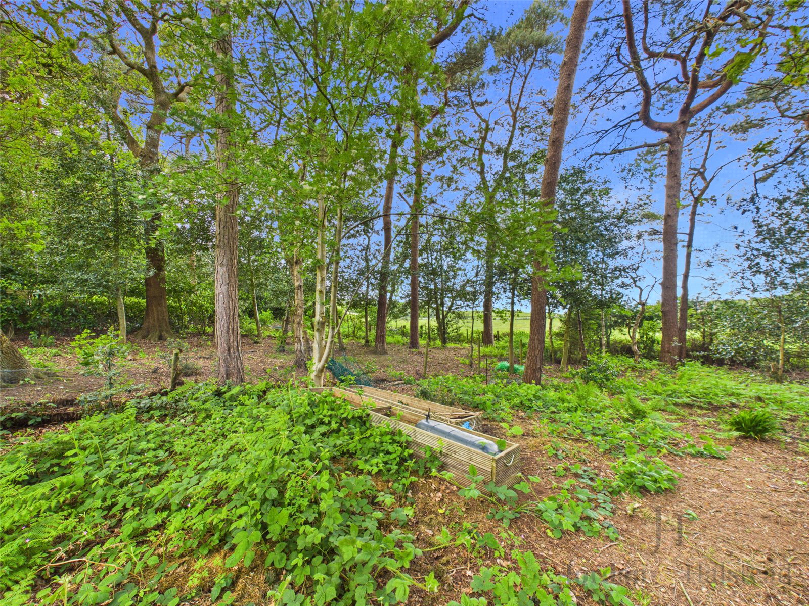 Kingswood Park, Kingswood, Frodsham, Cheshire, WA6, photo 9