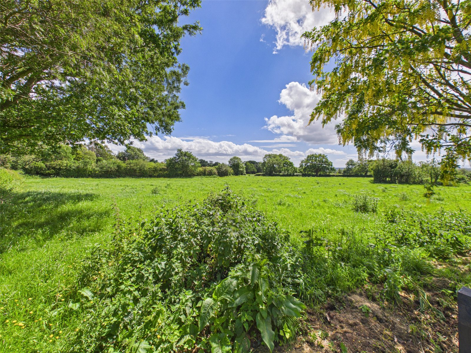 Primrose Lane, Alvanley, Frodsham, Cheshire, WA6, photo 33