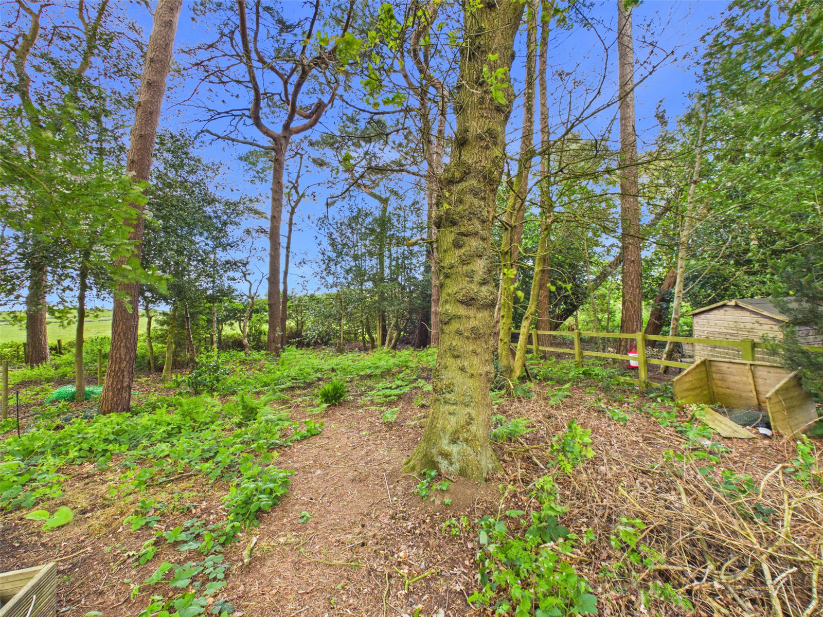 Kingswood Park, Kingswood, Frodsham, Cheshire, WA6, photo 14