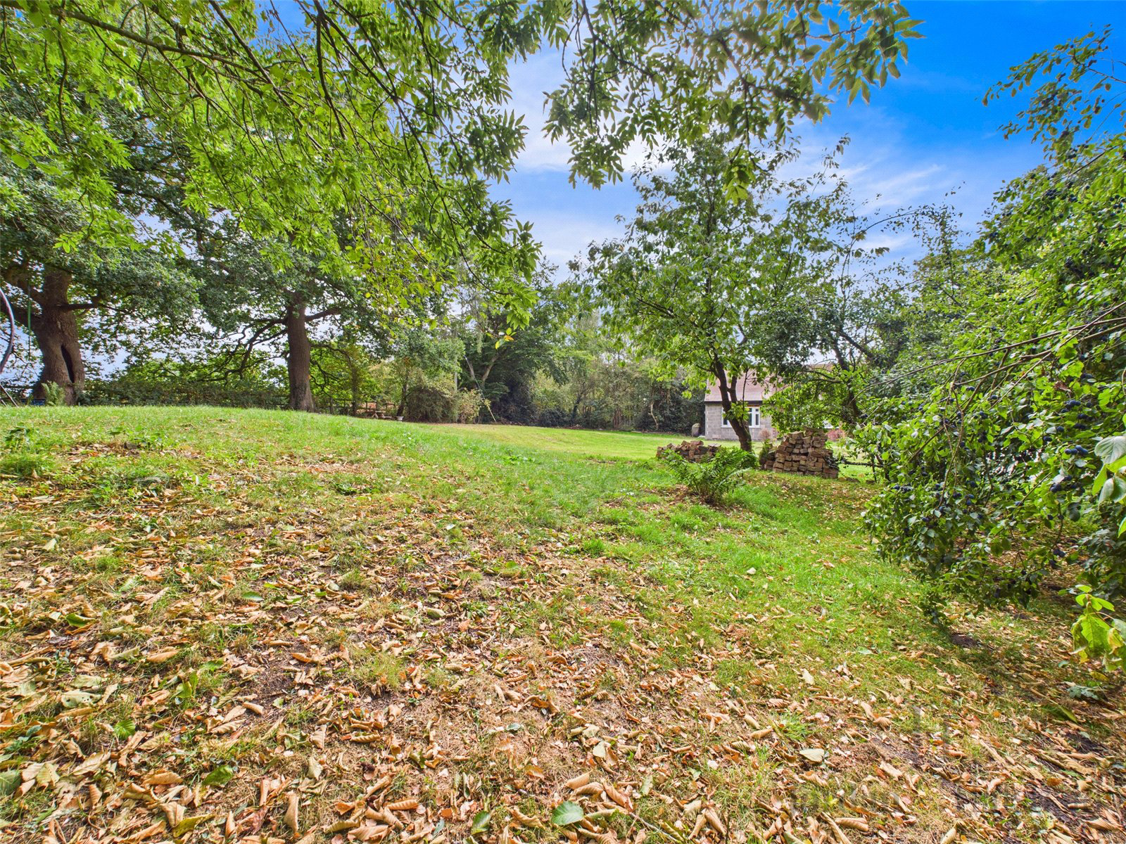 Manley Road, Alvanley, Frodsham, Cheshire, WA6, photo 19