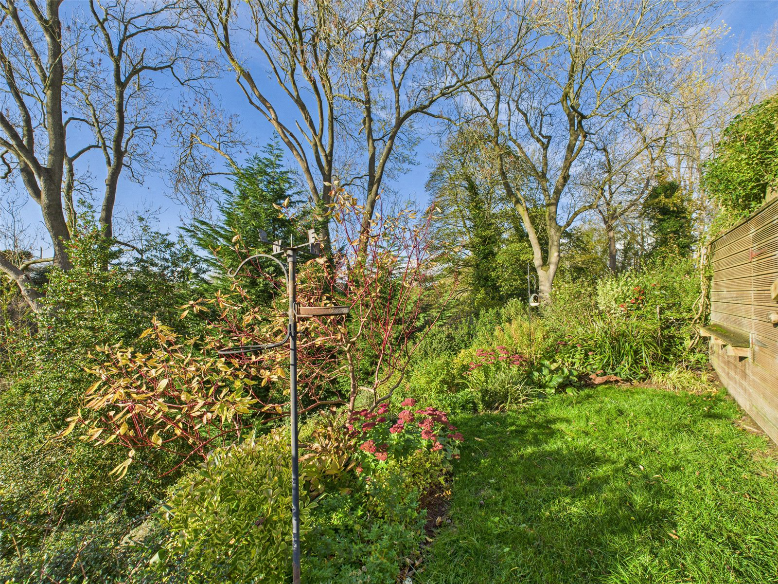 Delamere Road, Kingsley, Frodsham, Cheshire, WA6, photo 8