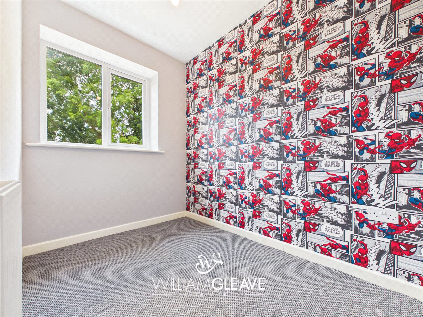 Nant Mawr Road, Buckley, Flintshire, CH7, photo 13