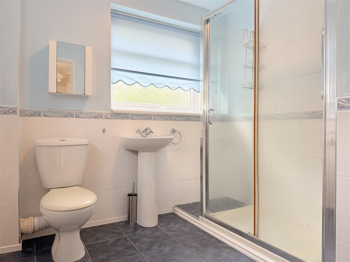 Ridgewood Park, Llanelli, photo 16