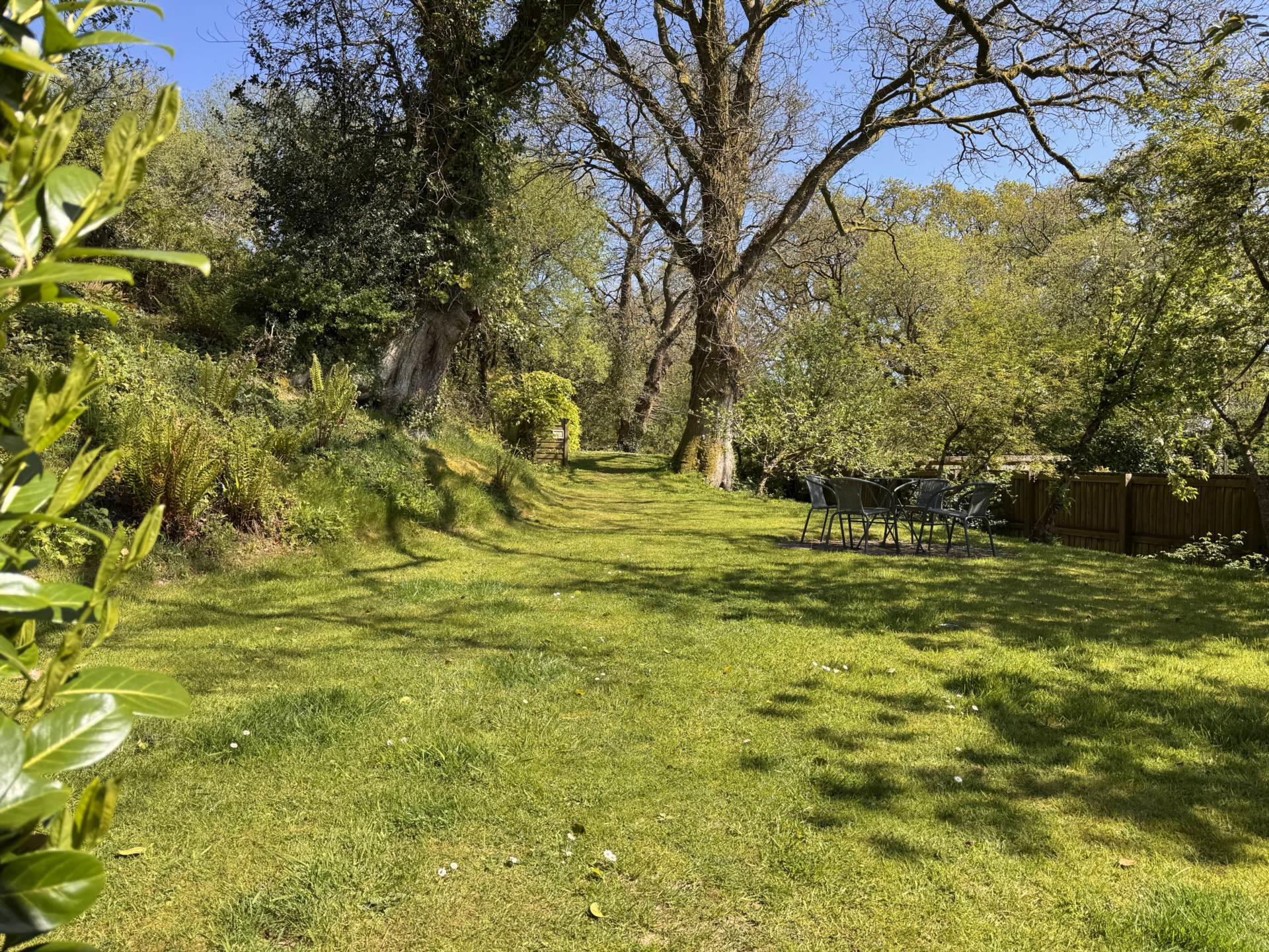 Newton St Petrock, Near Holsworthy, Devon, photo 19