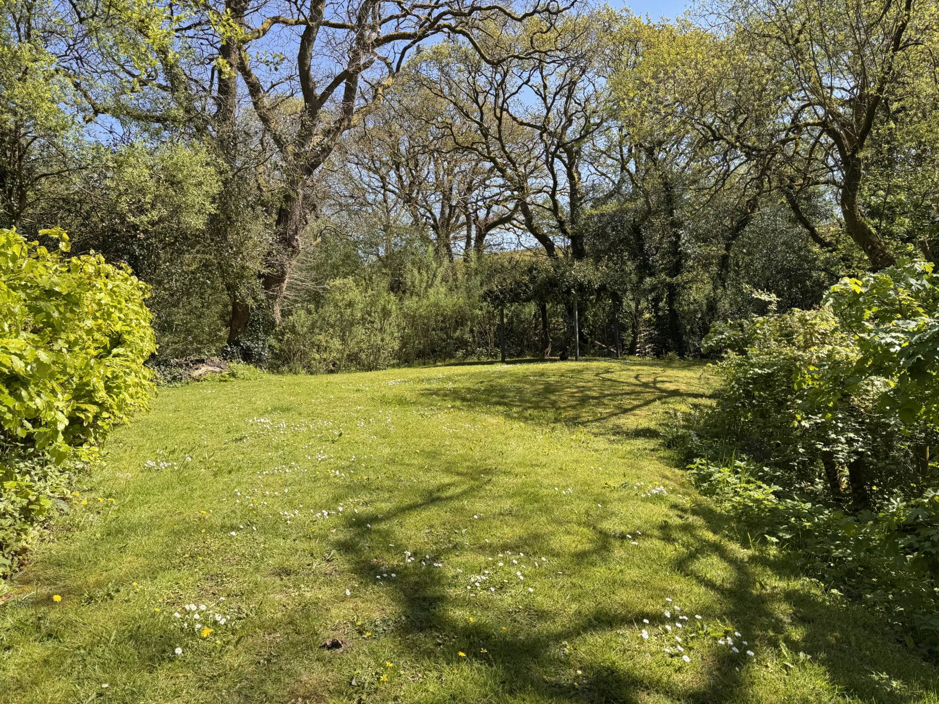 Newton St Petrock, Near Holsworthy, Devon, photo 18