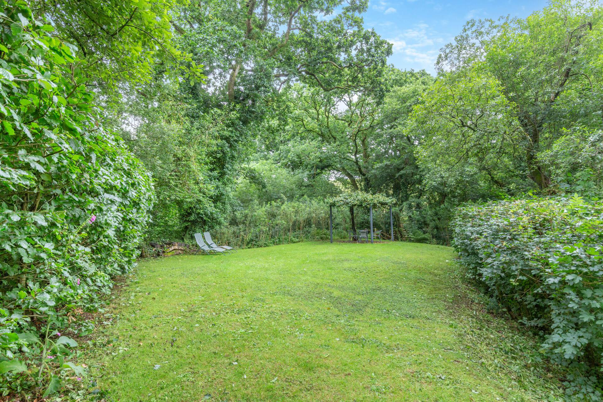 Newton St Petrock, Near Holsworthy, Devon, photo 16