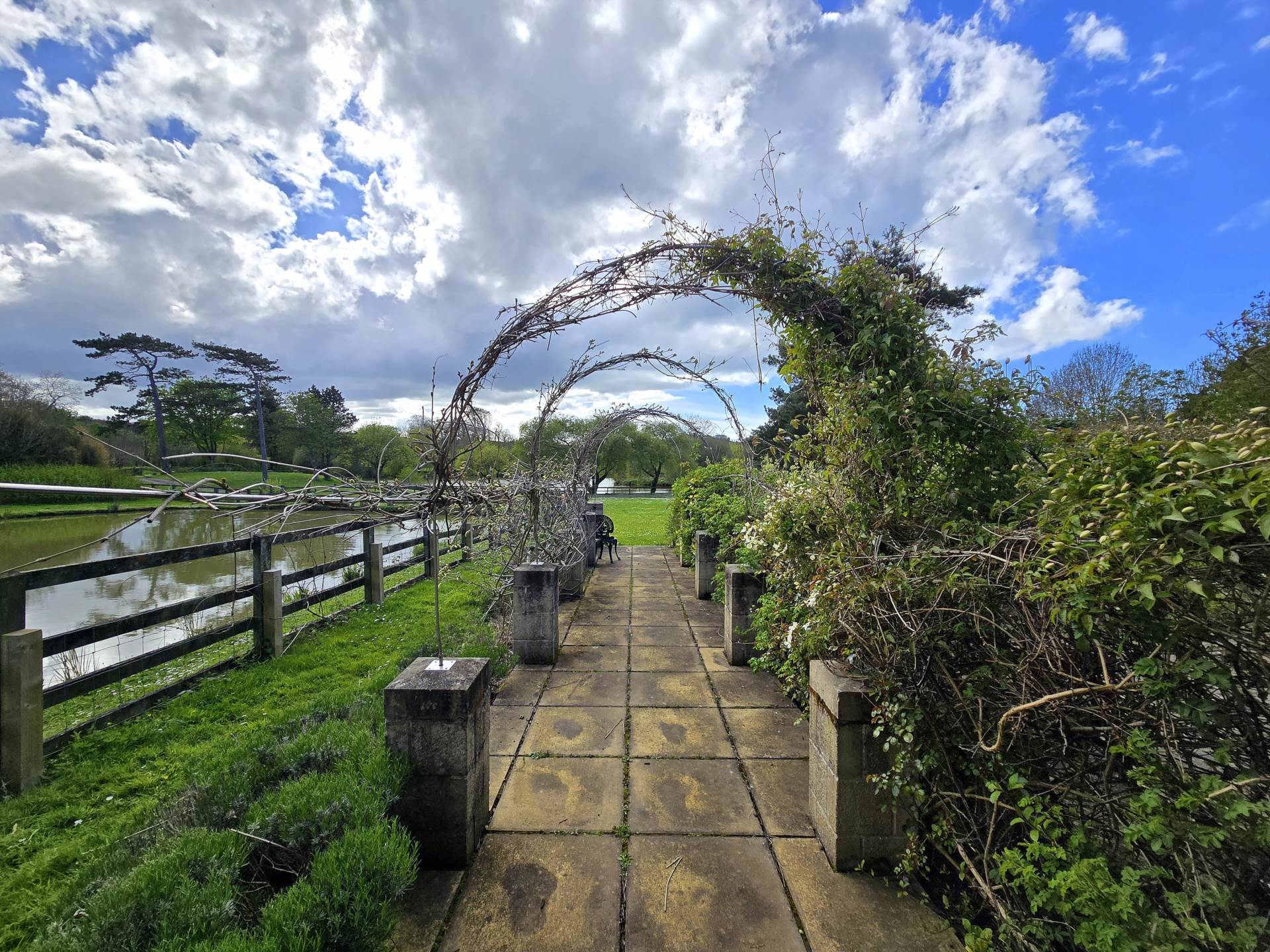 Photo 18