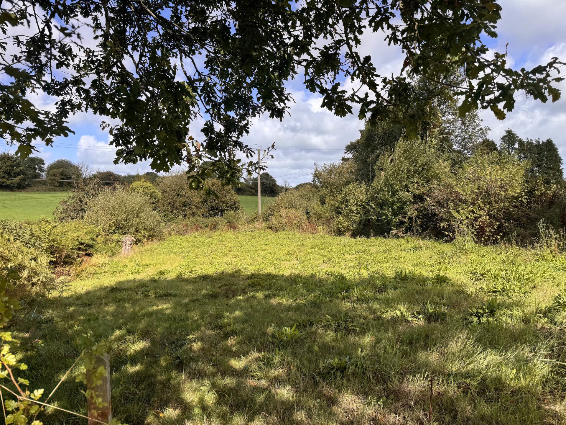Little Torrington, Near Torrington, photo 24