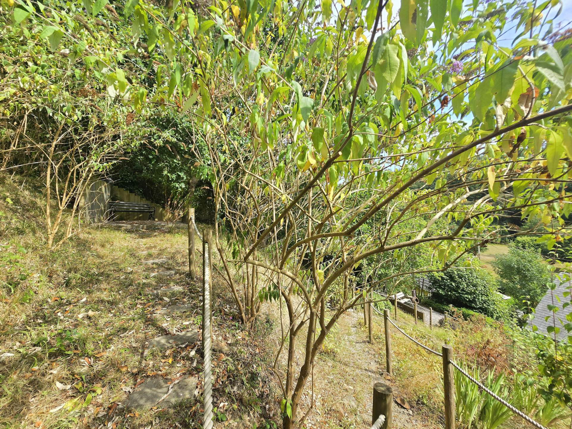 Photo 25
