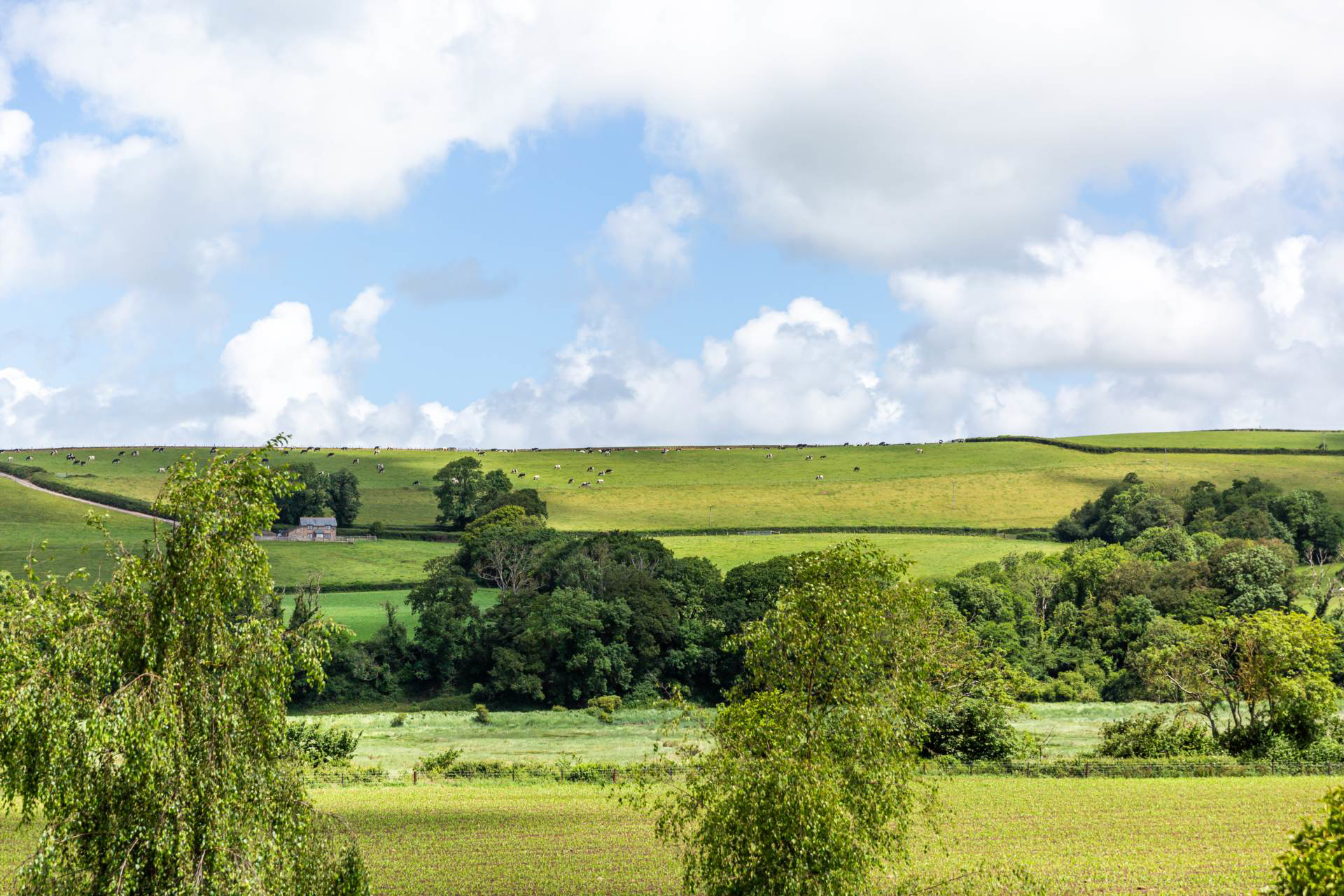 Landcross, Near Bideford, photo 27