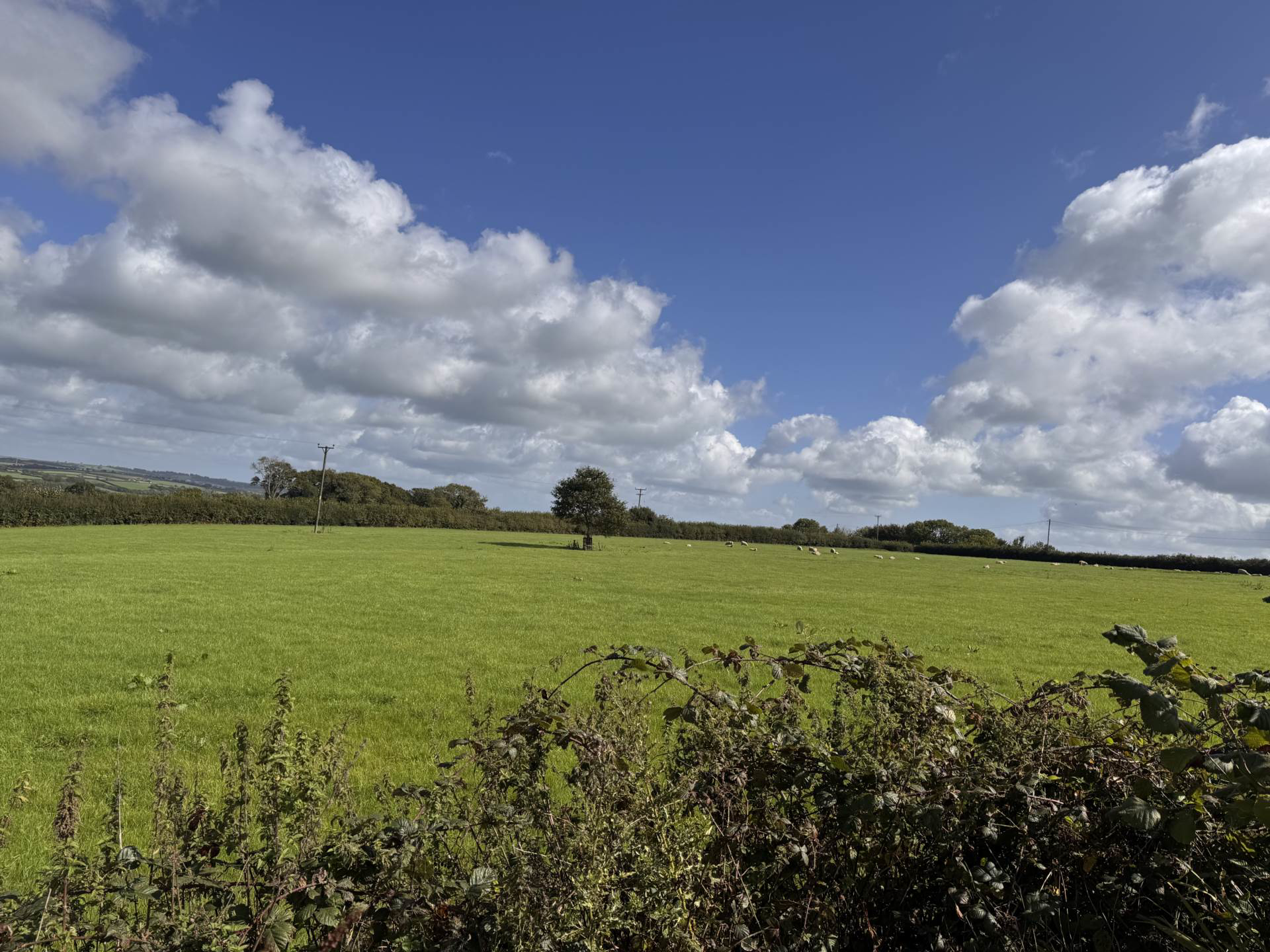 Little Torrington, Near Torrington, photo 25