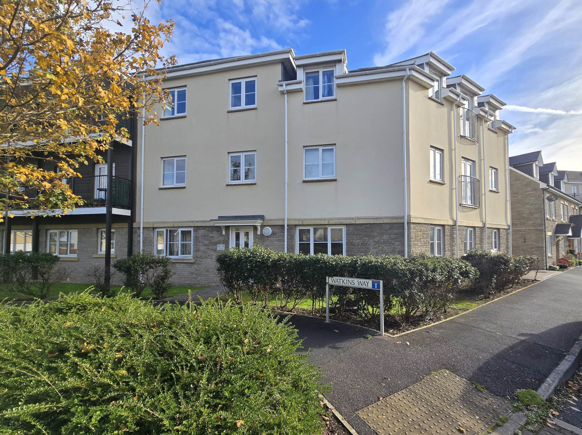 Watkins Way, Bideford