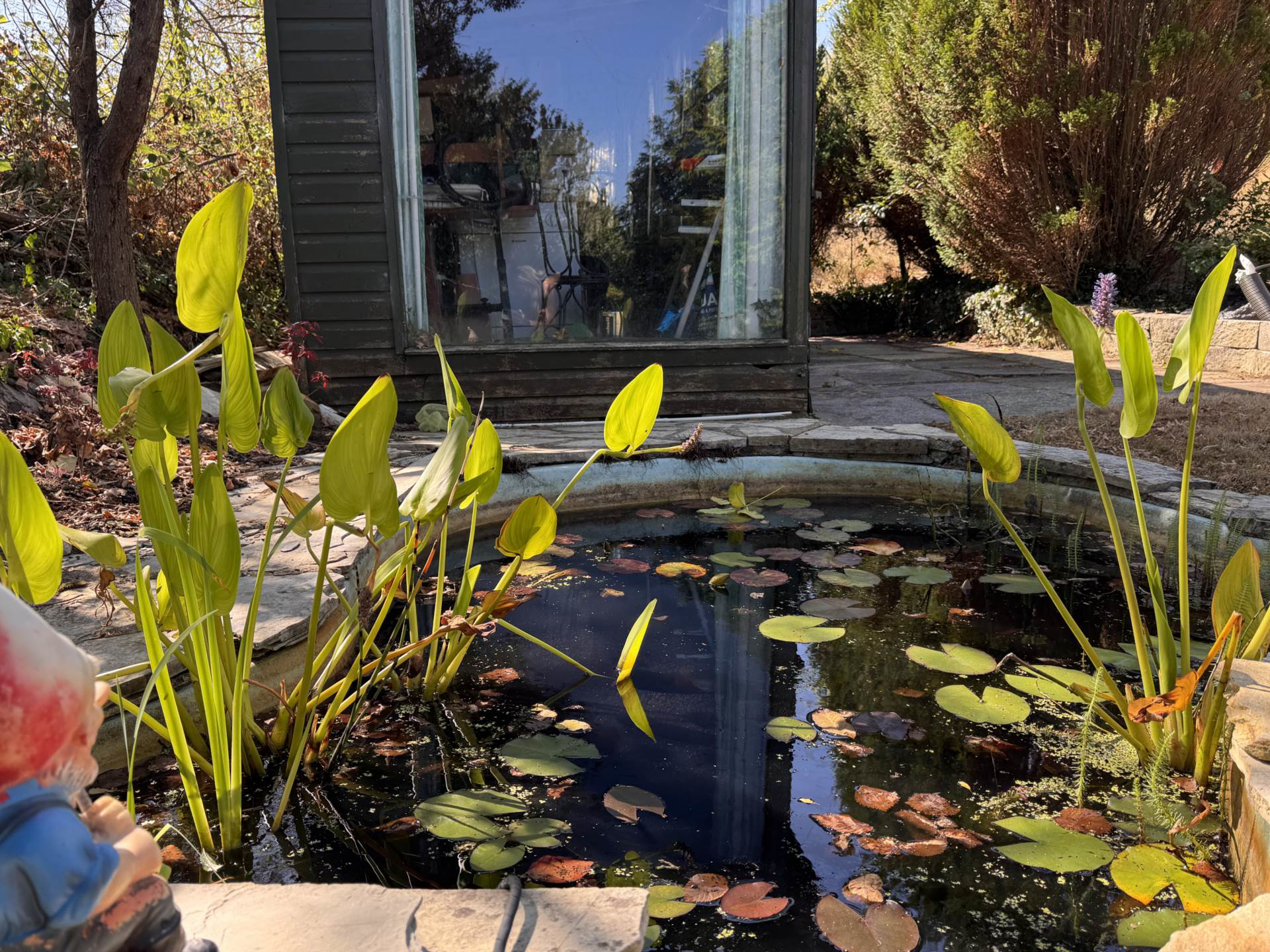 Photo 19
