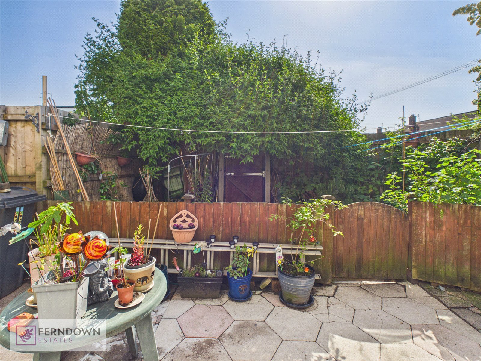 Photo 10