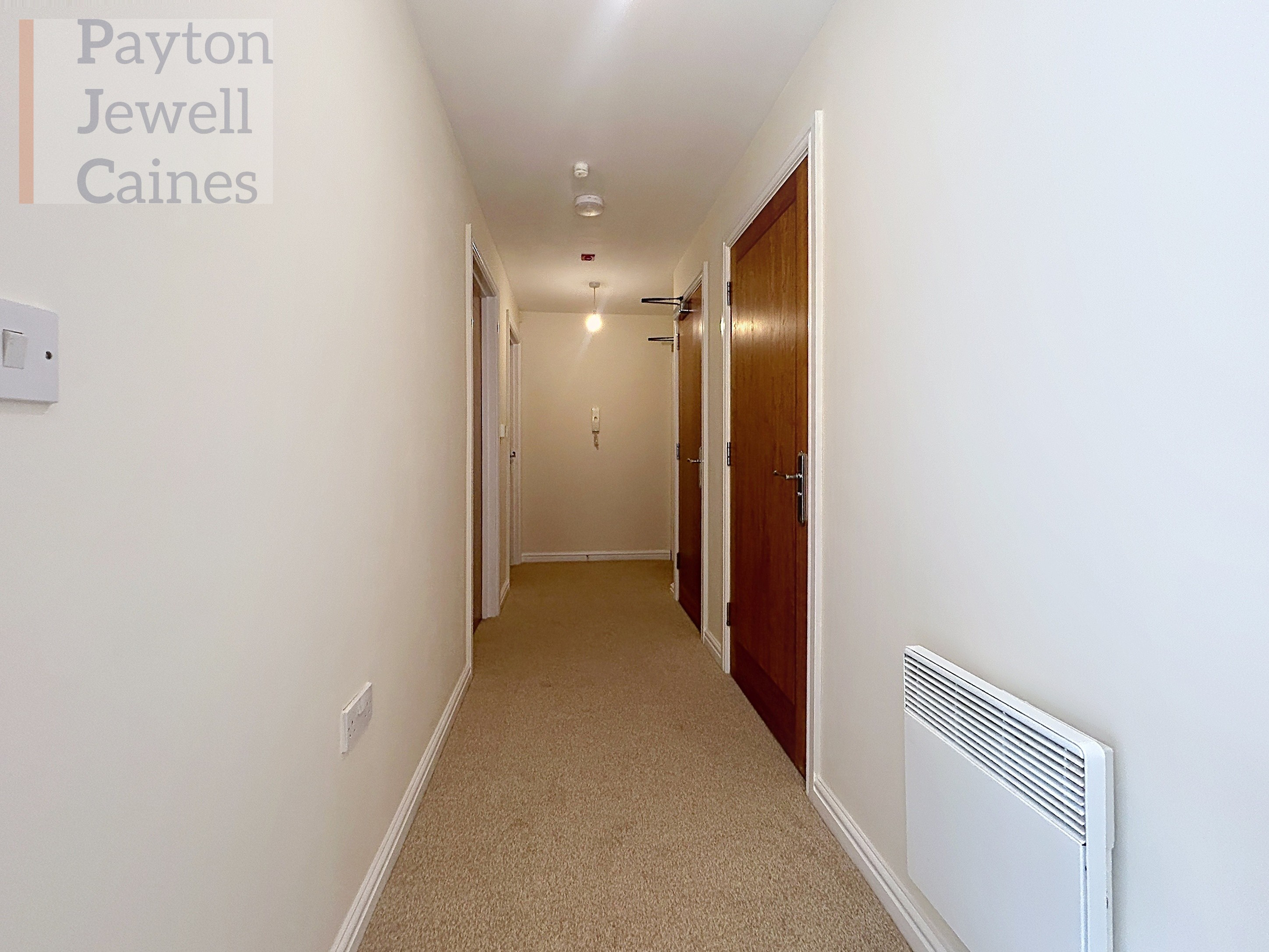 Wild Field, Bridgend, CF31, photo 12