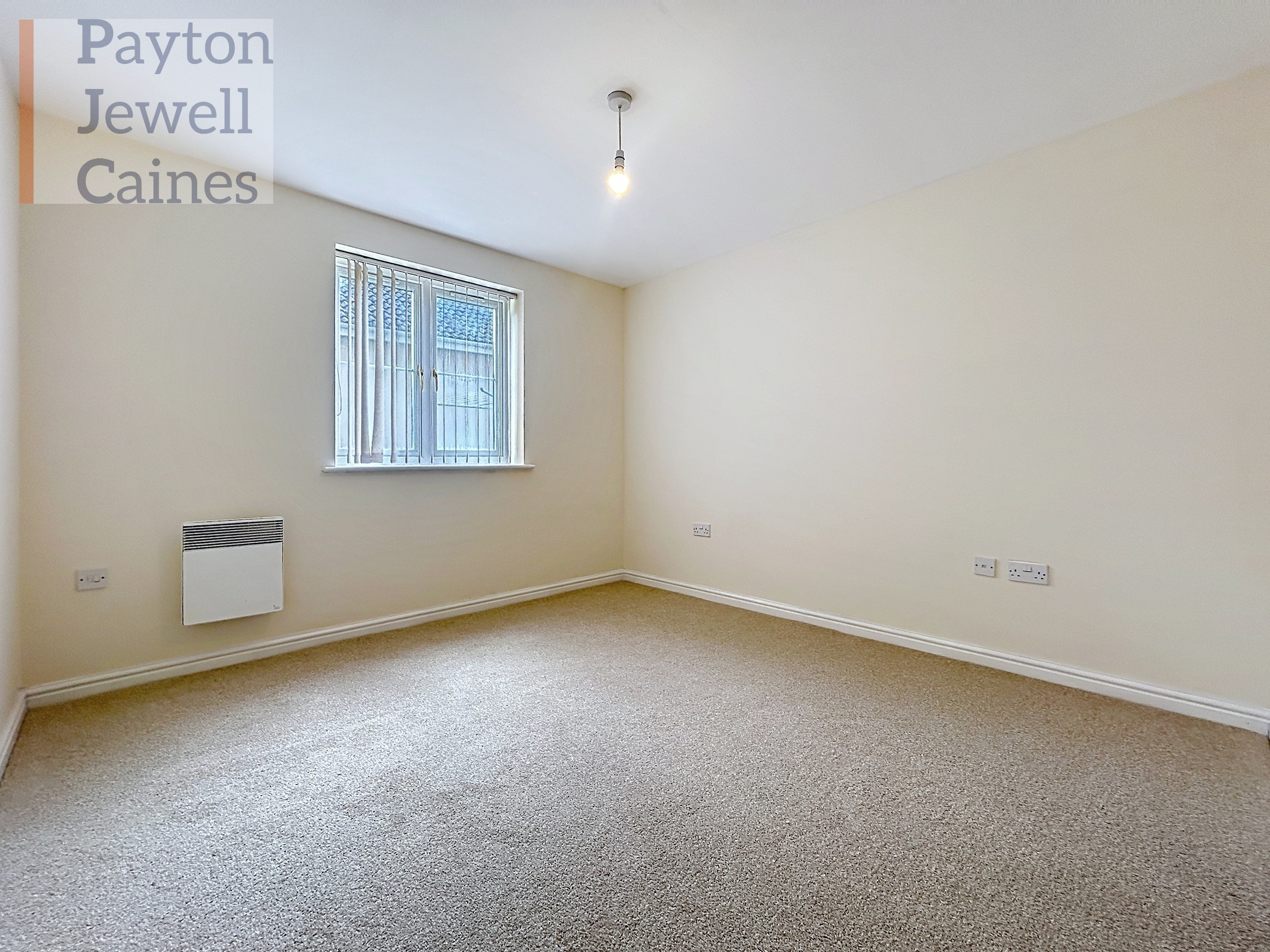 Wild Field, Bridgend, CF31, photo 6
