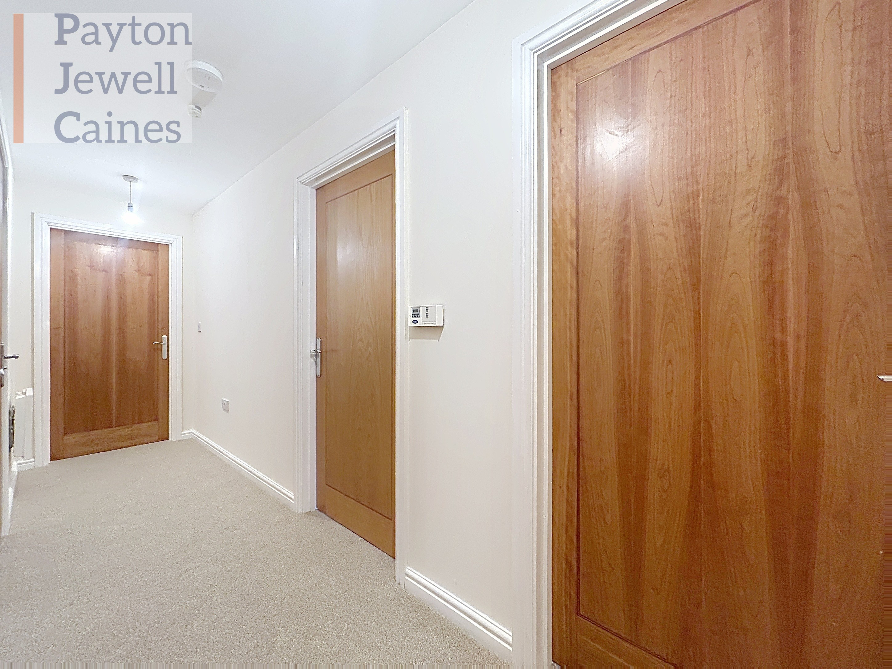Wild Field, Bridgend, CF31, photo 11