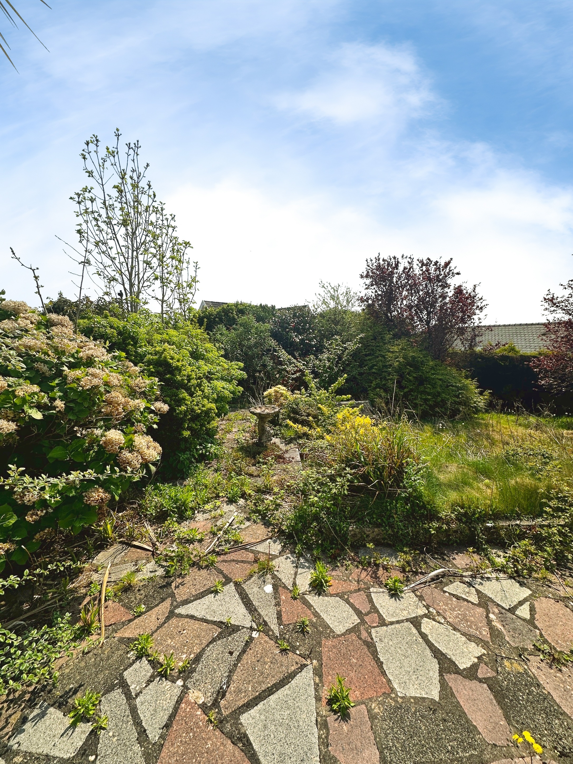 Y Llest, Pen-Y-Fai, CF31, photo 11