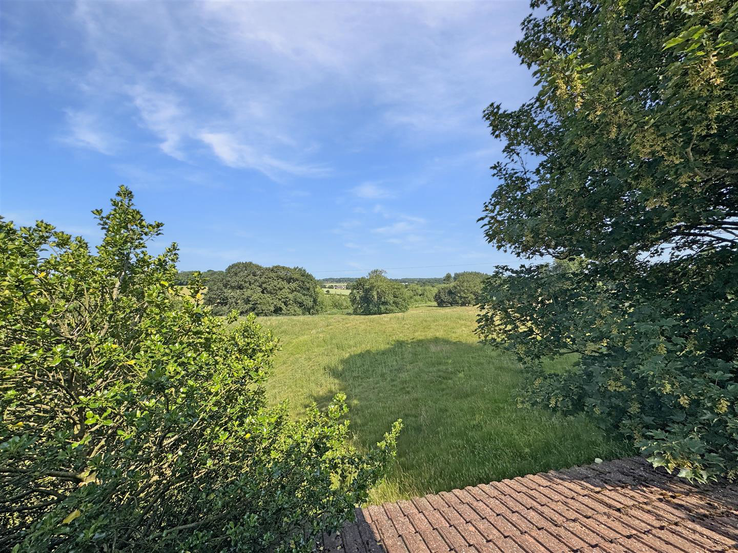 Normanton Cottage, Normanton Park Farm, Thurlaston., photo 17