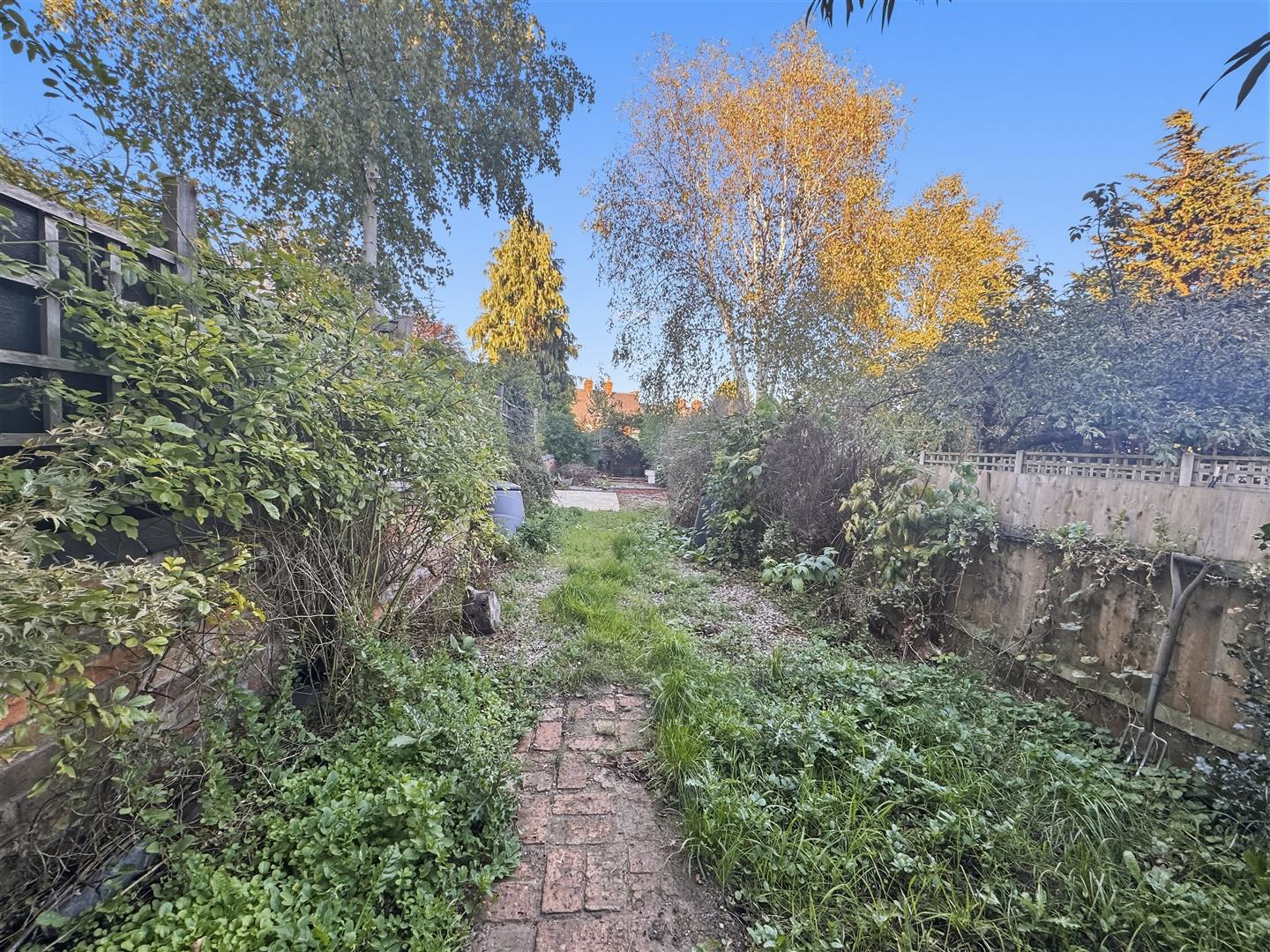 Richmond Road, Leicester, photo 12