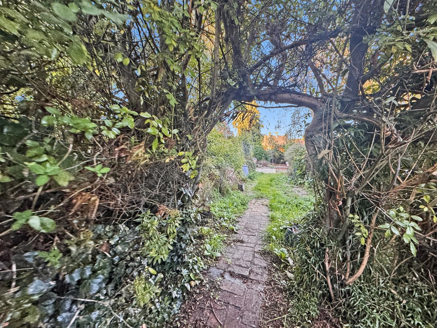 Richmond Road, Leicester, photo 11