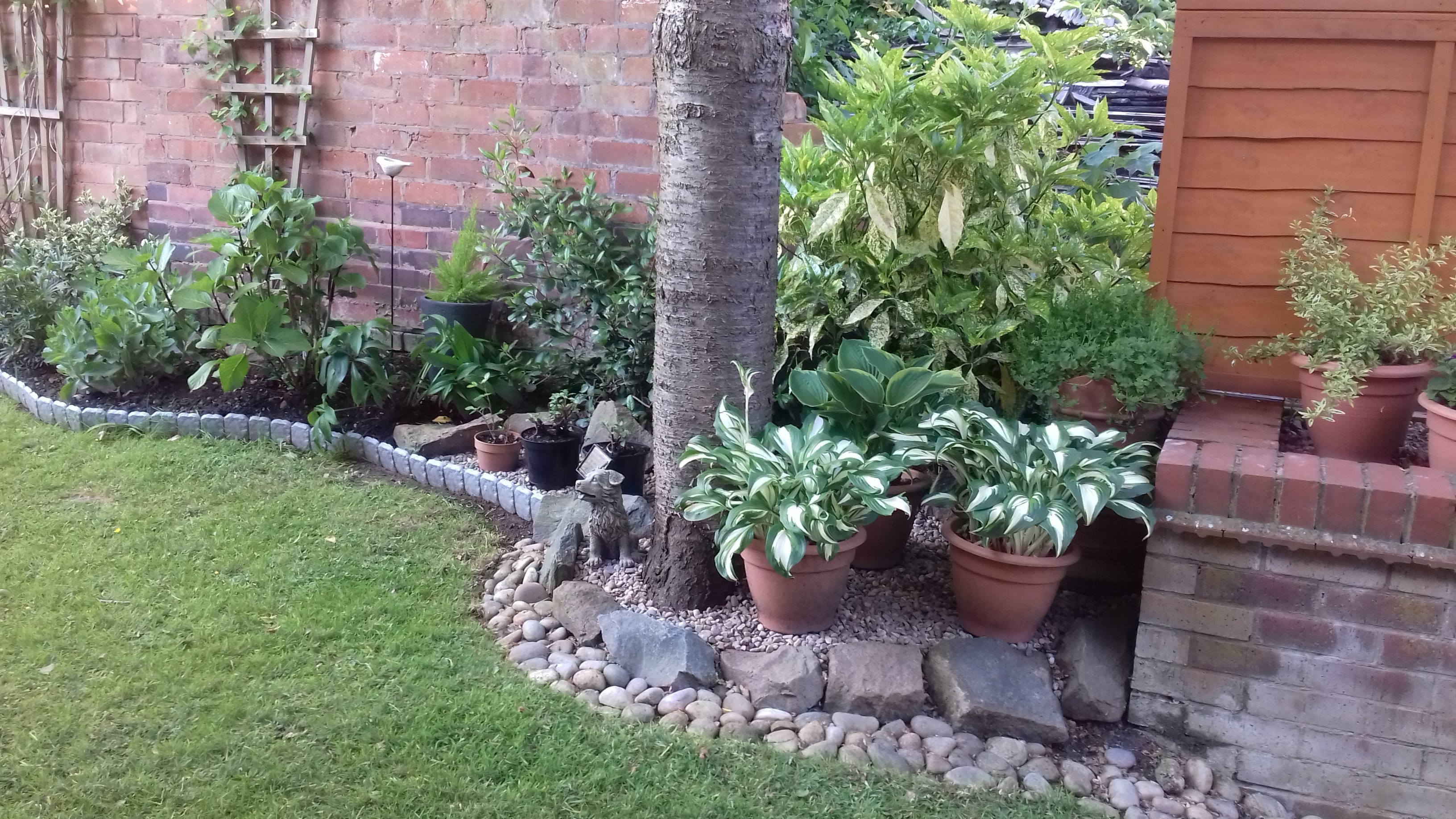 Photo 17