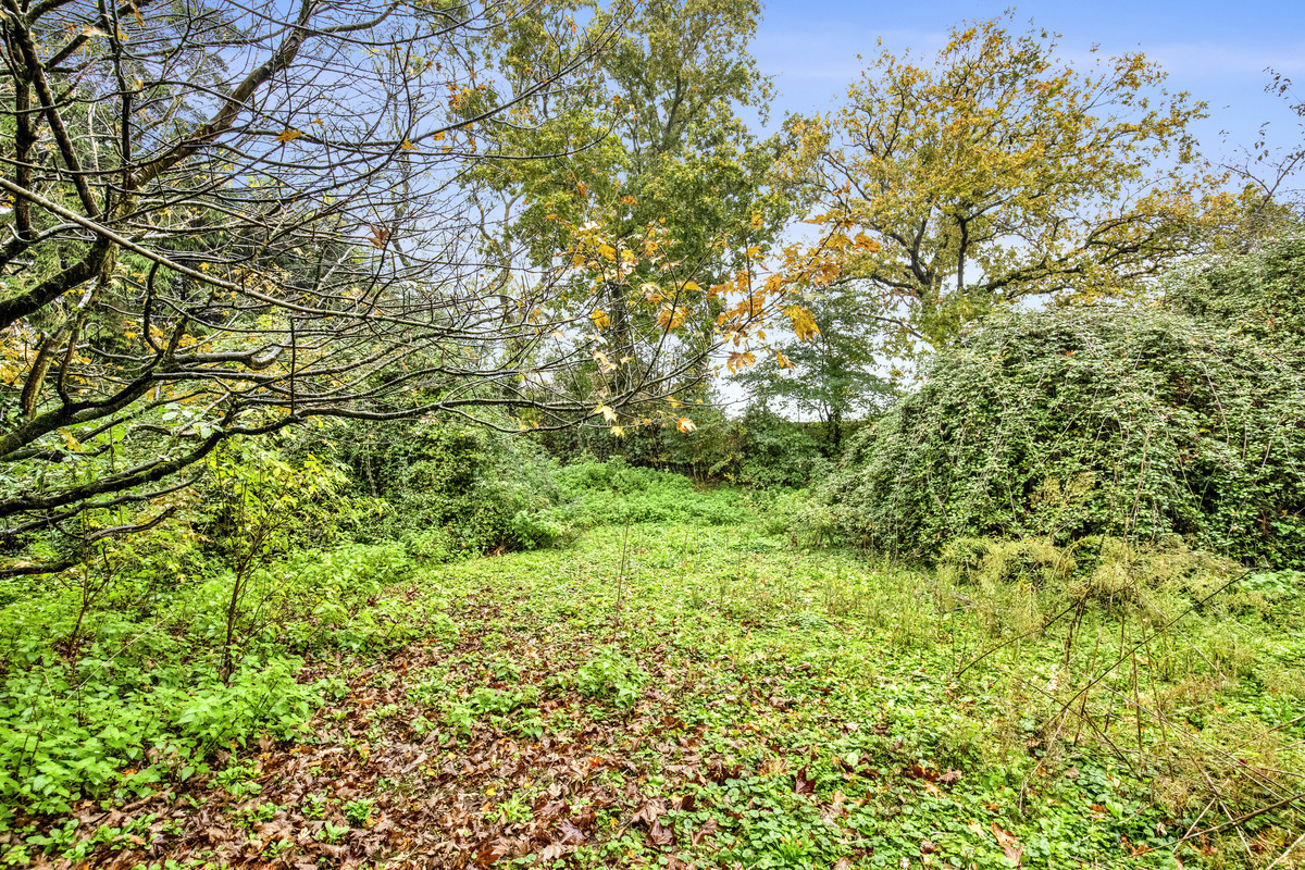 Arundel Road, Chichester, PO18, photo 5