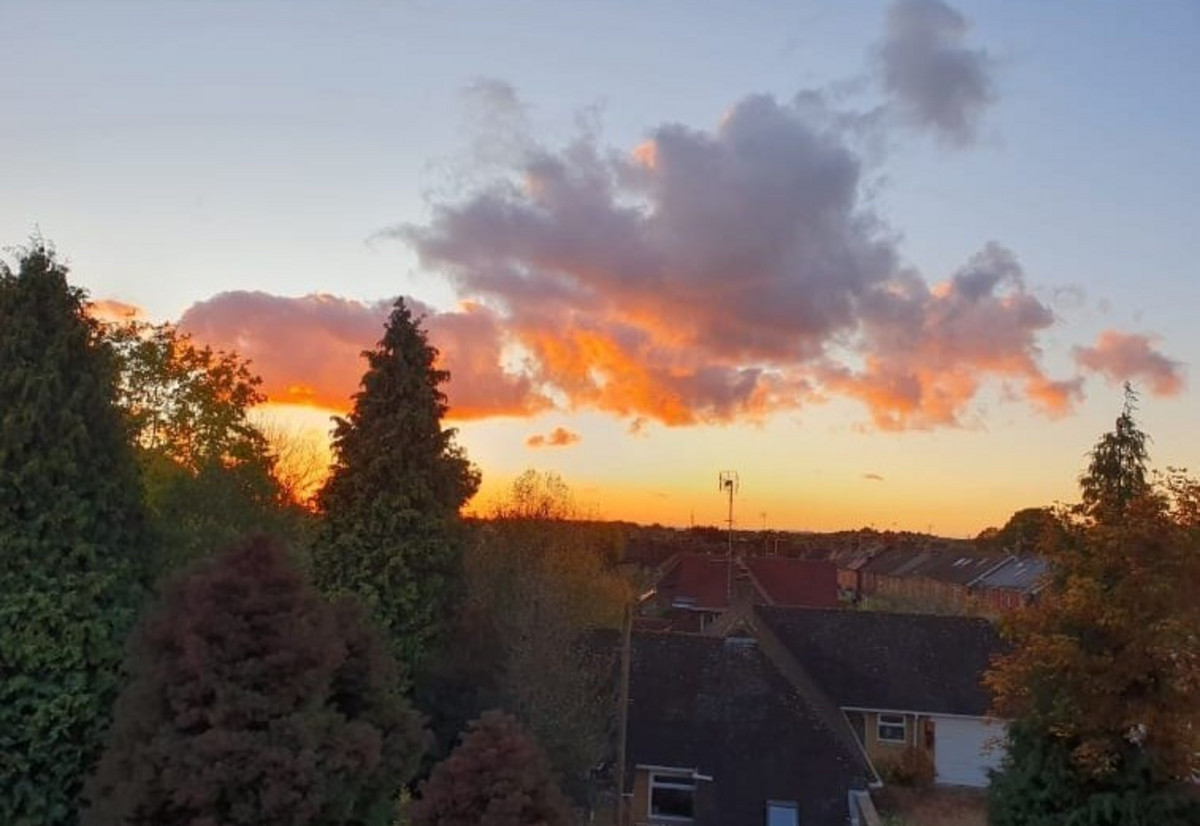 Tulip Court, Horsham, RH12, photo 9