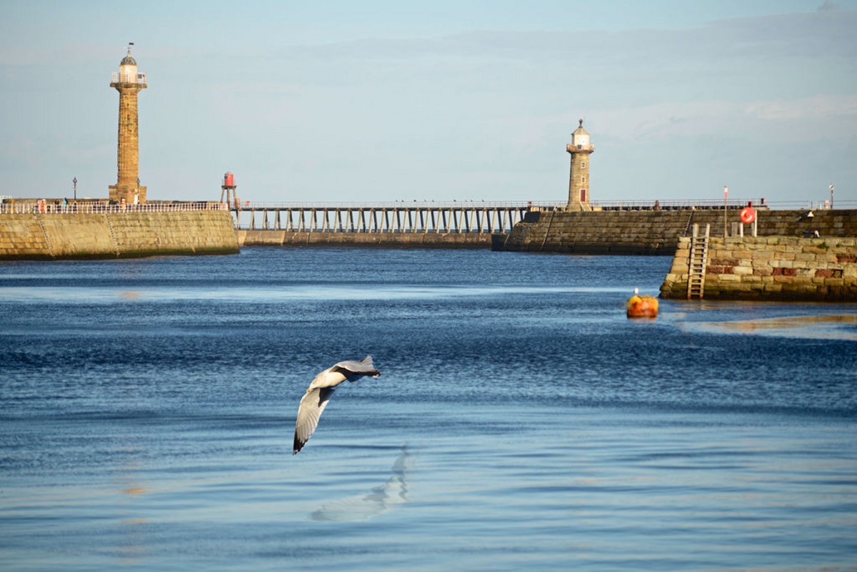 Ivy Cottage, Whitby, YO22, photo 41