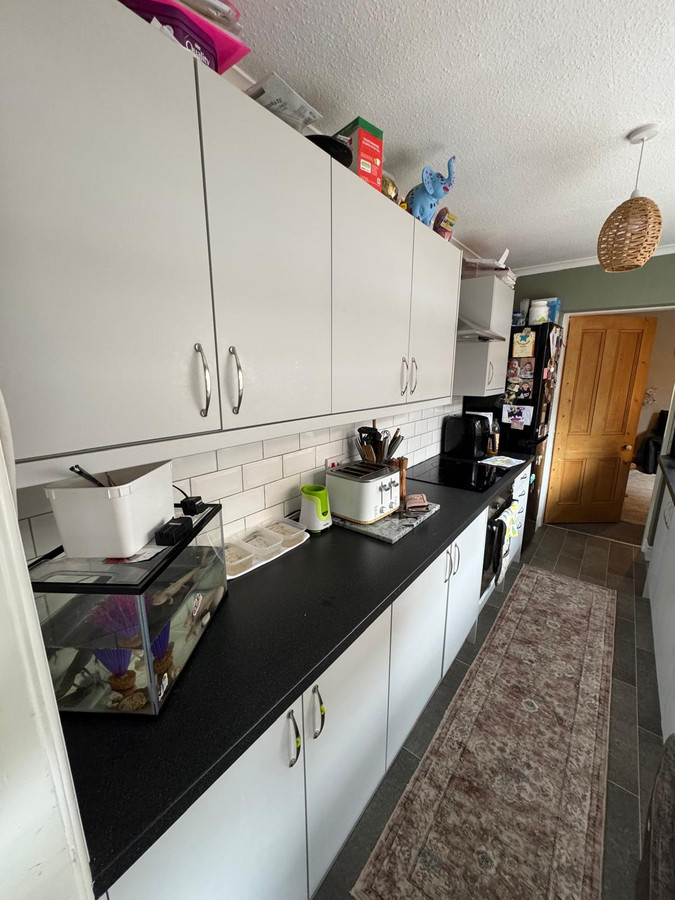 Grange Terrace, Trimdon Station, TS29, photo 7