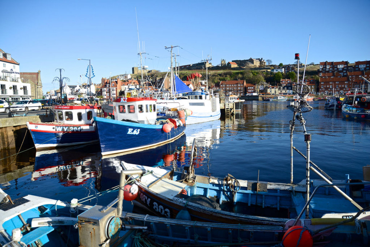 Ivy Cottage, Whitby, YO22, photo 40