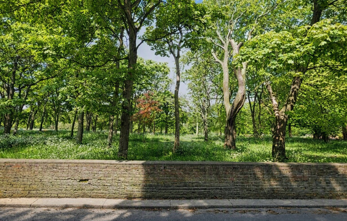 The Cedars, Sunderland, SR2, photo 30