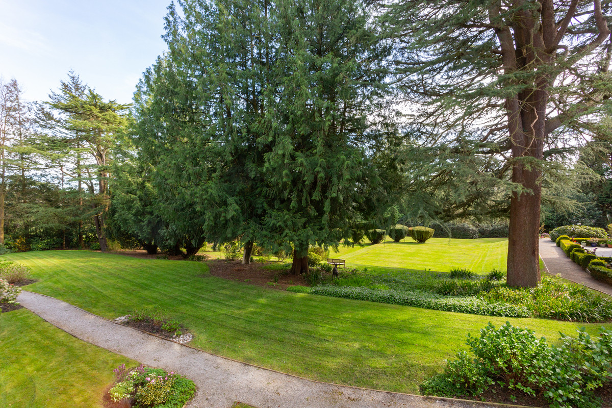 Elmhurst, Bowgreave, PR3, photo 12