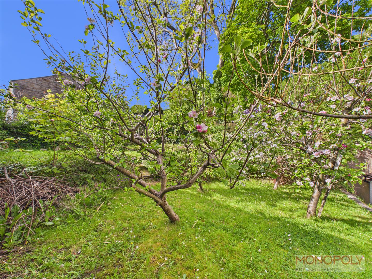 Gwynfryn, Wrexham, LL11, photo 46