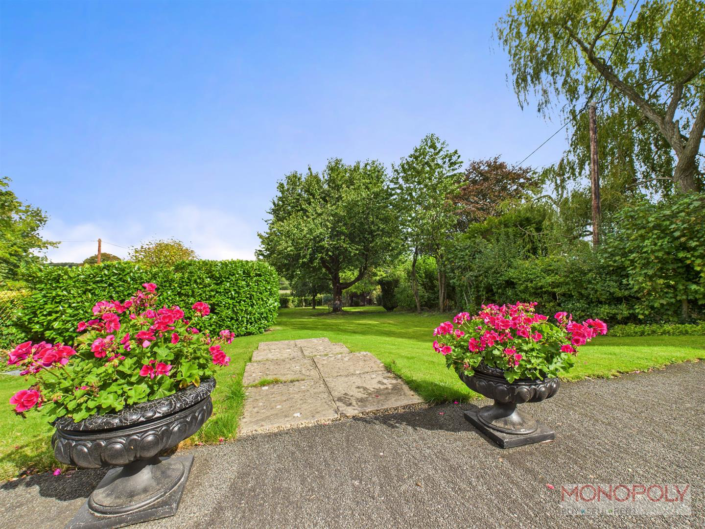 View from Patio