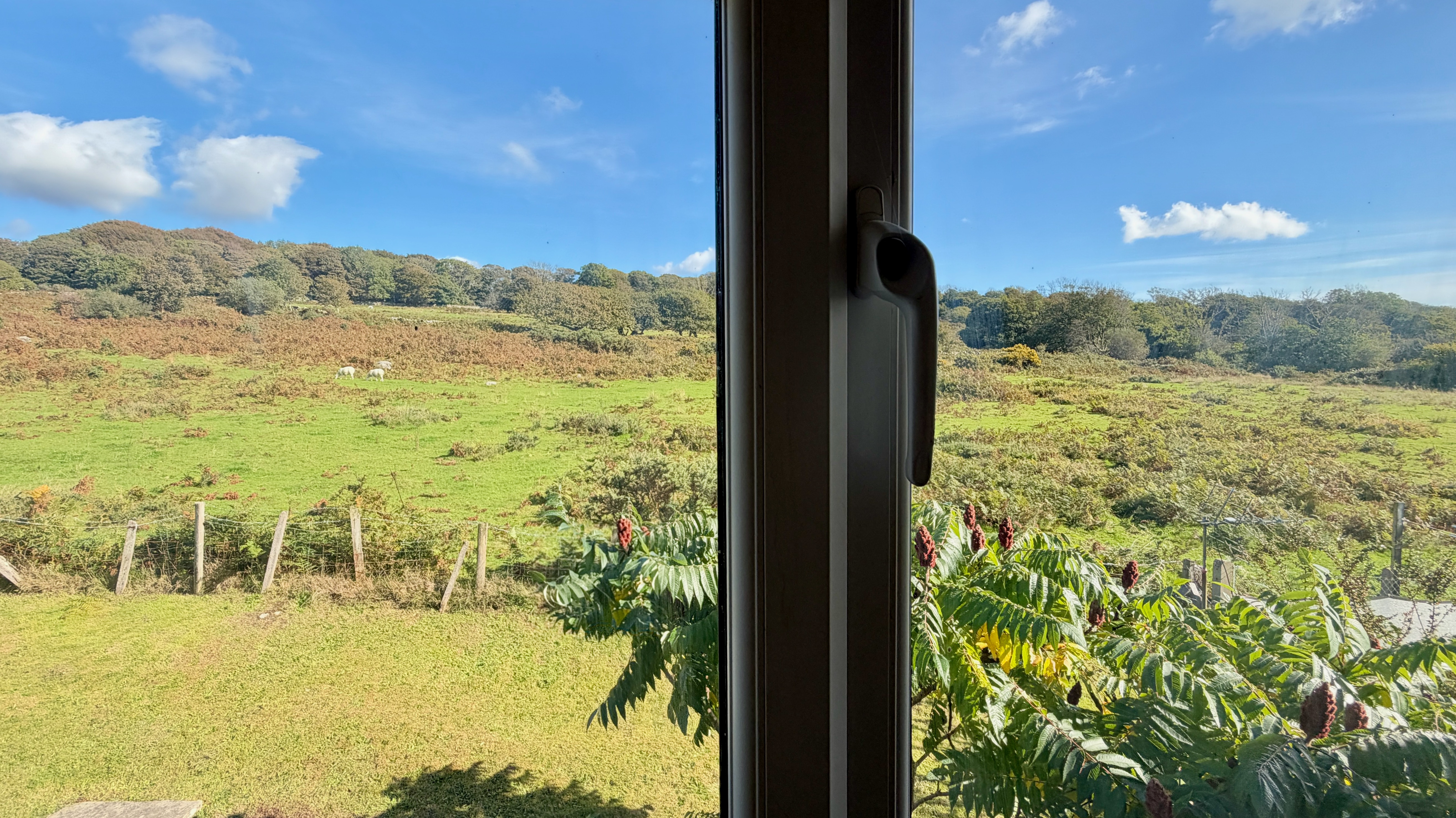 Bryn Awelon, Dyffryn Ardudwy, LL44, photo 13