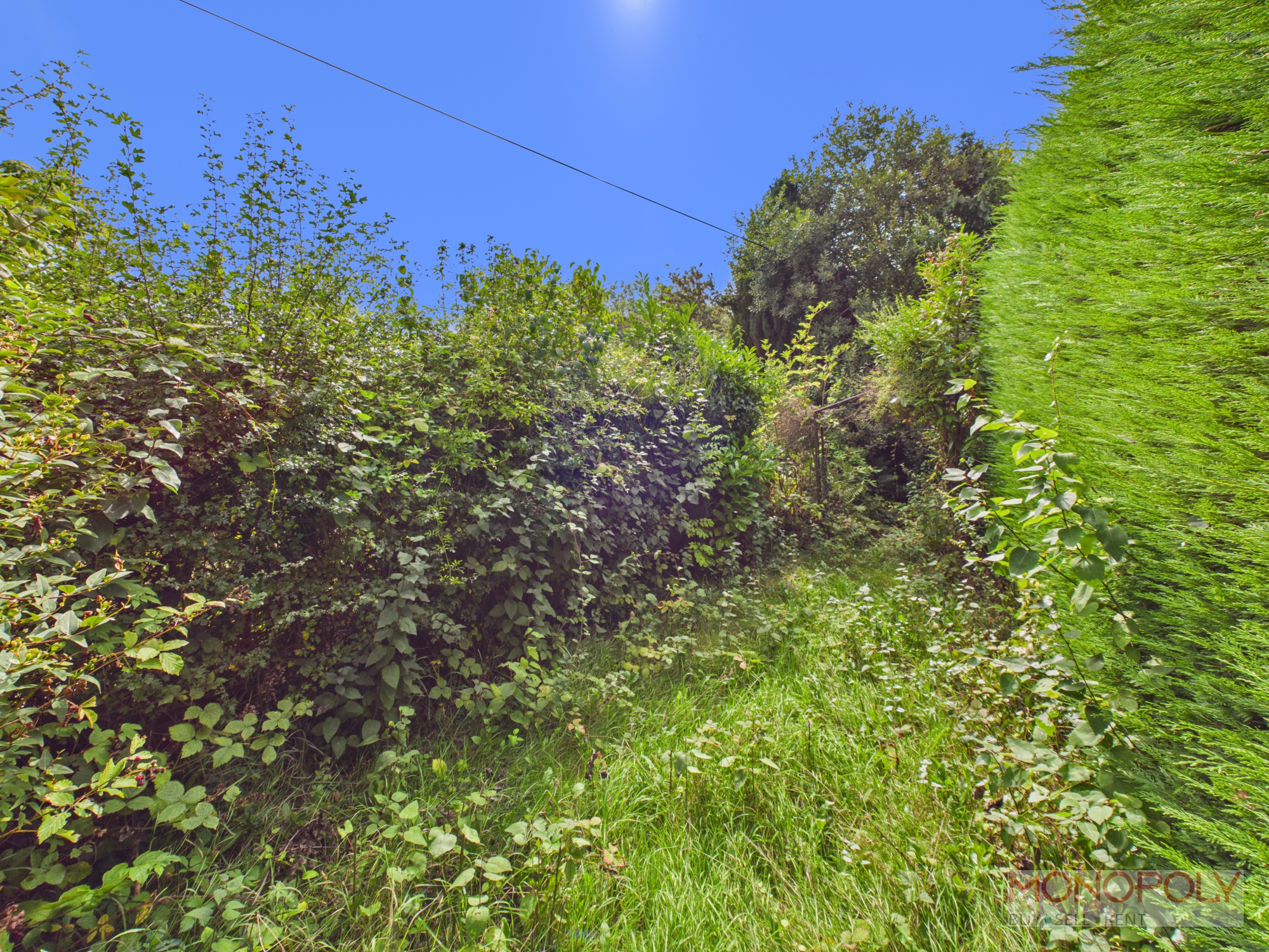 Mount Pleasant, Ruabon, LL14, photo 19