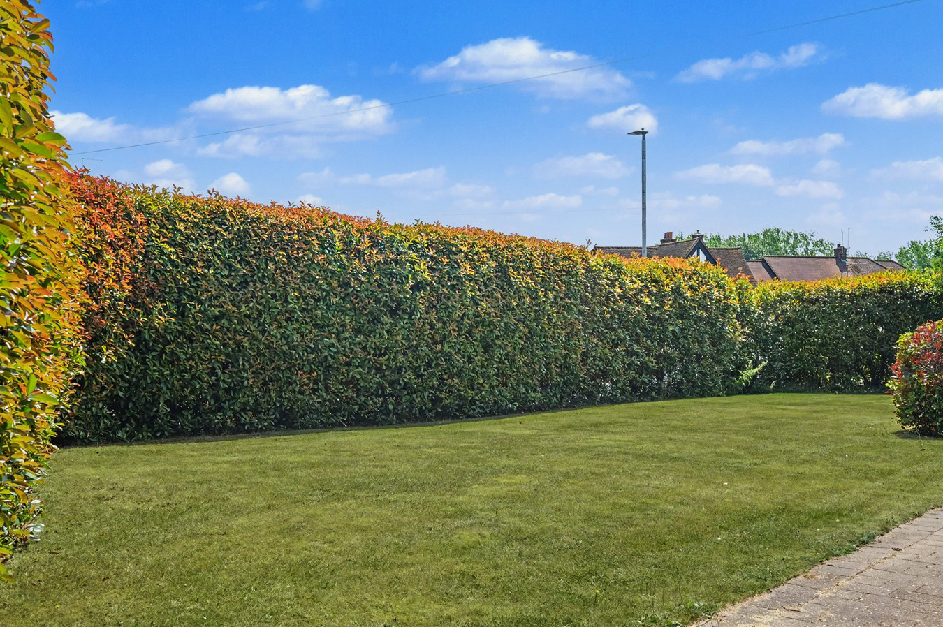 Roxwell Road, Chelmsford, CM1, photo 23