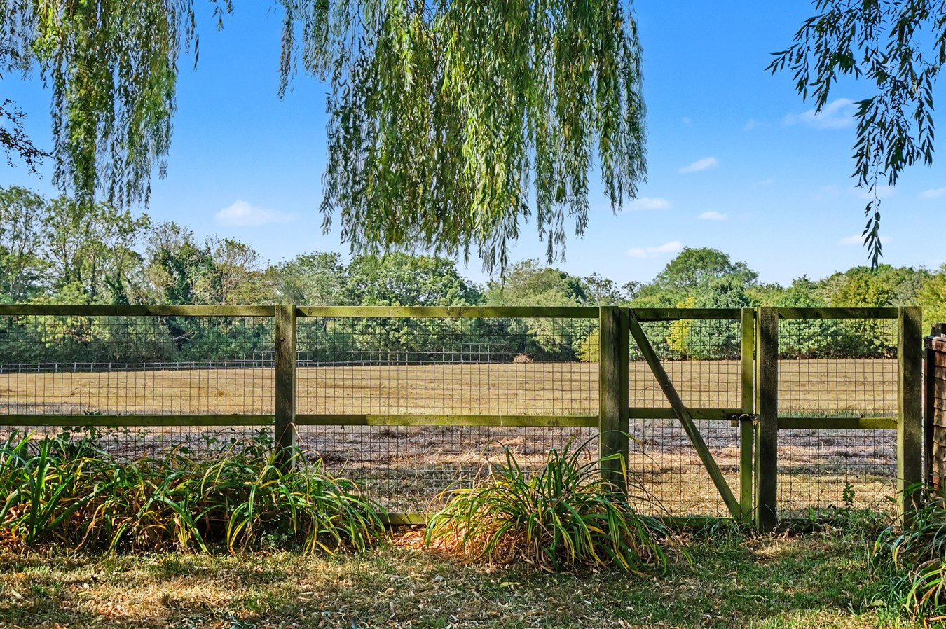 Priory Road, Bicknacre, Chelmsford, CM3, photo 19